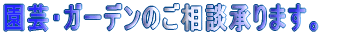 ��ЊT�v 