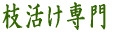 ��ЊT�v 